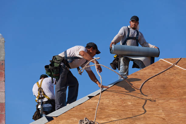 Best Metal Roofing Contractor  in Rossville, GA